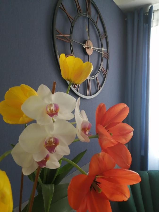 Bed & Breakfast Filsdeger Haz - & Apartmans Eger