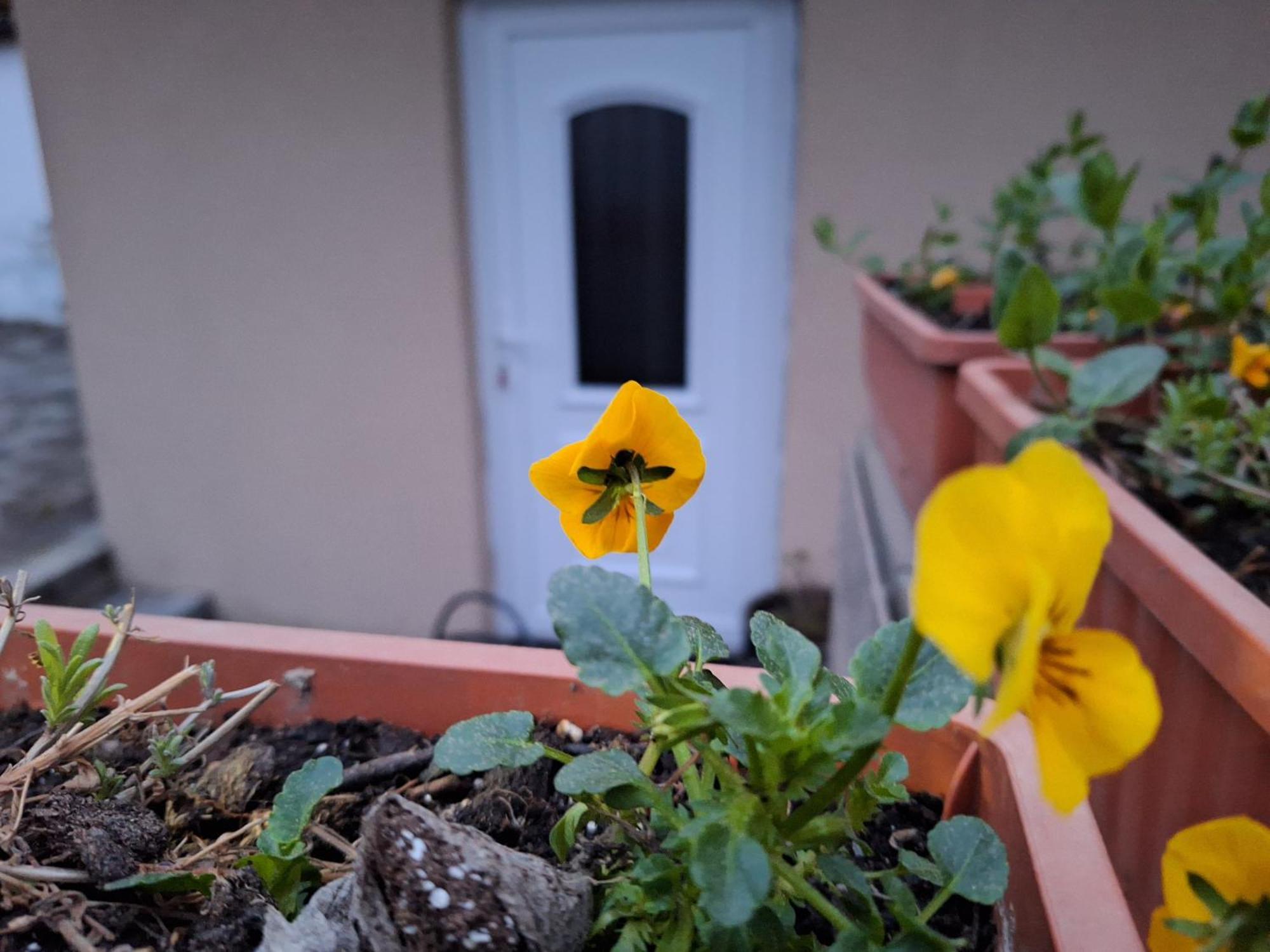 Filsdeger Haz - & Apartmans 2* Eger